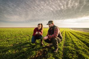 Read more about the article Celebrate American Agriculture. The World can’t survive without it today.