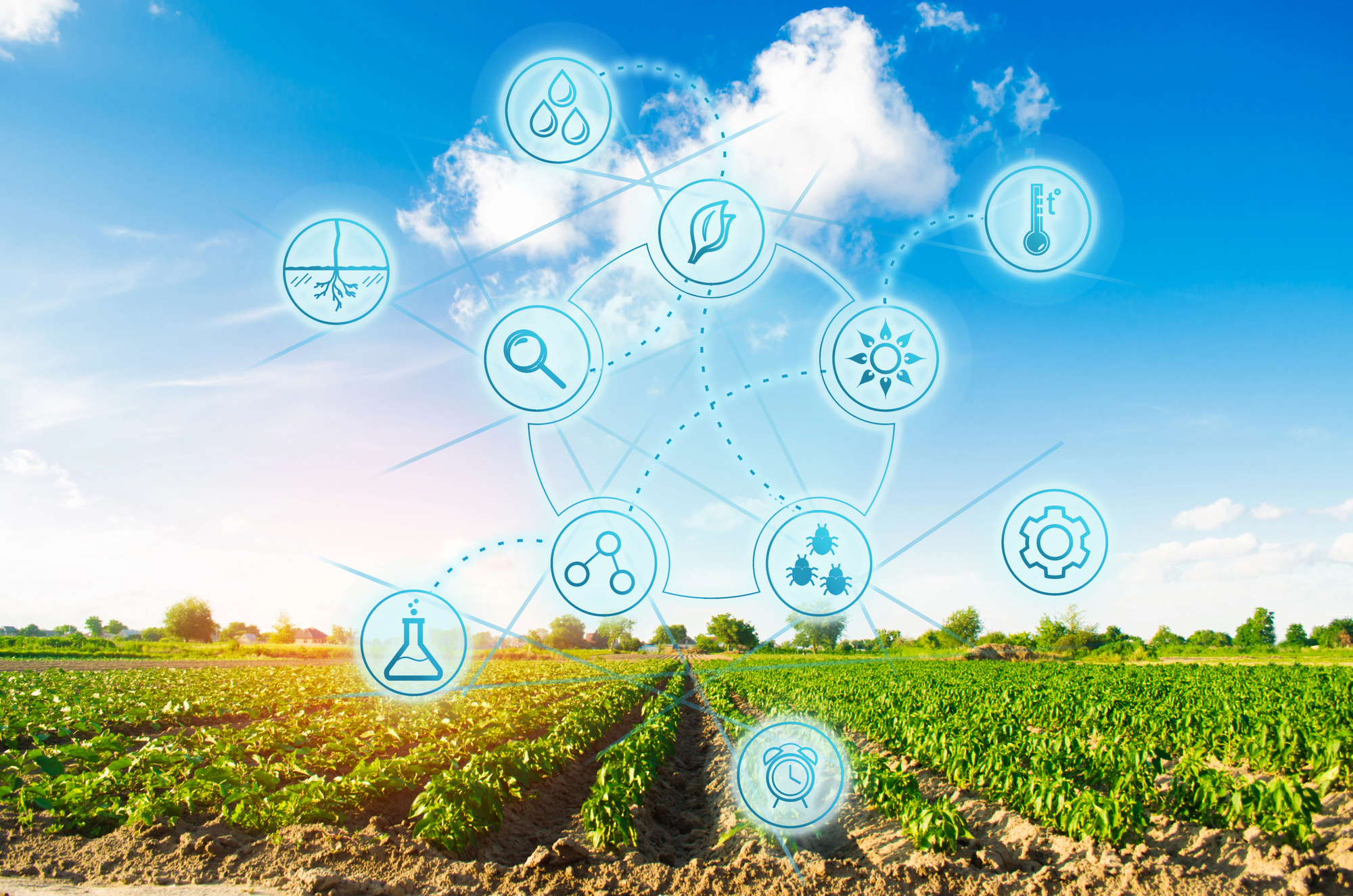You are currently viewing In the Fields and in the Cloud: Why AI Is Threatening Ag Tech
